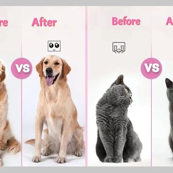 Dog Brush, Cat Brush, Pet Brush for Long and Short Hair, Pet Grooming Brush - Picture 10 of 11
